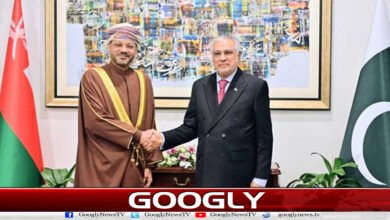 Omani Foreign Minister meets Ishaq Dar, agrees to work together for peace