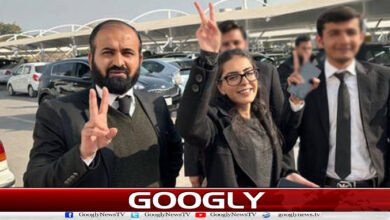 Interference in government affairs case: Iman Mazari and Hadi Chatha sentenced to 10 years in prison