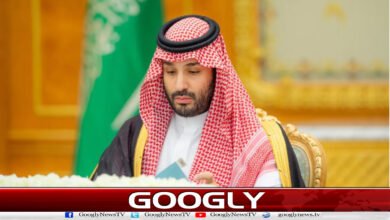 Saudi Arabia announces continued full cooperation with Yemen's constitutional government