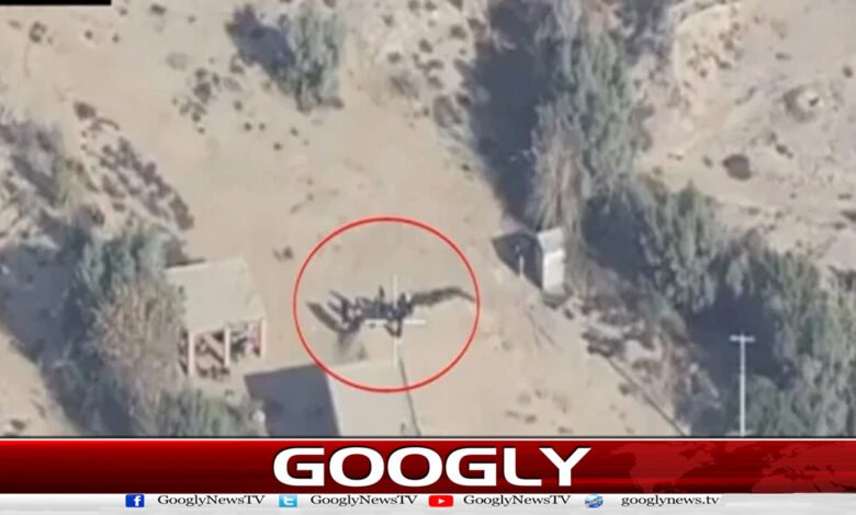 شمالی وزیرستان : سکیورٹی فورسز کی کامیاب کارروائی، 5 خوارج ہلاک 1 North Waziristan: Successful operation by security forces; 5 Kharijites killed.
