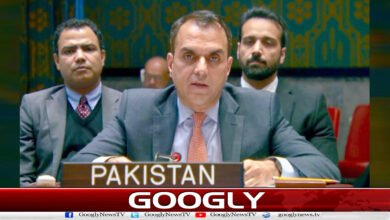 شام میں اسرائیلی کارروائیاں امن کےلیے خطرہ ہیں : پاکستان 5 Israeli actions in Syria are a threat to peace: Pakistan