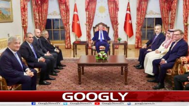 استنبول اجلاس: پاکستان سمیت 8 ممالک کا علاقائی تنازعات مذاکرات سے حل کرنے پر اتفاق 2 Istanbul meeting: 8 countries including Pakistan agree to resolve regional disputes through negotiations