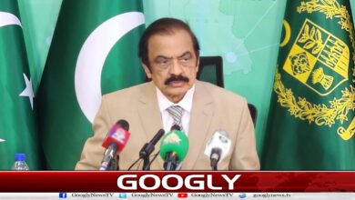 If the PTI still fulfills its constitutional role, the situation could improve: Rana Sanaullah