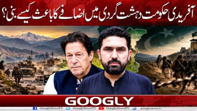 آفریدی حکومت دہشت گردی میں اضافے کا باعث کیسے بنی؟ 5 How did the Afridi government lead to an increase in terrorism?