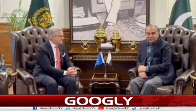 محسن نقوی سے یورپی کمشنر کی ملاقات، غیرقانونی ہجرت کے خلاف تعاون بڑھانے پر اتفاق 4 European Commissioner meets Mohsin Naqvi, agrees to increase cooperation against illegal migration