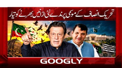 PTI's seasonal birds ready to take new flights