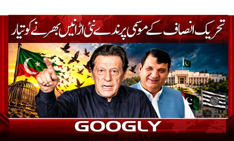 PTI's seasonal birds ready to take new flights