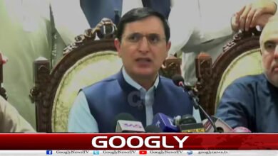 We want the long march to take place, yet we do not want an emergency to be imposed: Barrister Gohar.
