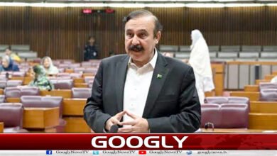 Sohail Afridi was seeking approval for the draft of the negotiations from Afghanistan: Tariq Fazal