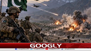 Operations on Fitnat al-Khawarij bases in Afghanistan, 22 terrorists killed