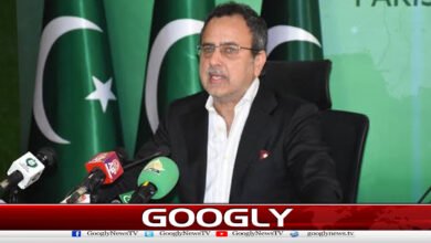 بجلی کی لوڈشیڈنگ طے شدہ منصوبے کے مطابق کی جارہی ہے،اویس لغاری 5 Electricity load shedding is being done as per the planned plan, says Awais Leghari