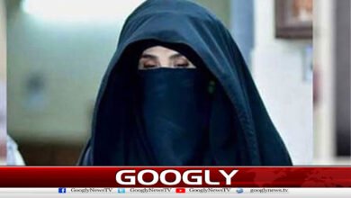 £190 million case: Plea to suspend Bushra Bibi's sentence rejected.