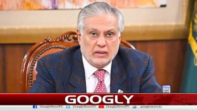 افغان سرزمین پاکستان کے خلاف استعمال نہیں ہونی چاہیے،وزیرخارجہ 5 Afghan soil should not be used against Pakistan, says Foreign Minister