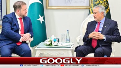 اسحاق ڈار سے برطانوی وزیر مملکت اسٹیفن ڈوٹی کی ملاقات 5 Meeting between Ishaq Dar and British Minister of State Stephen Doughty