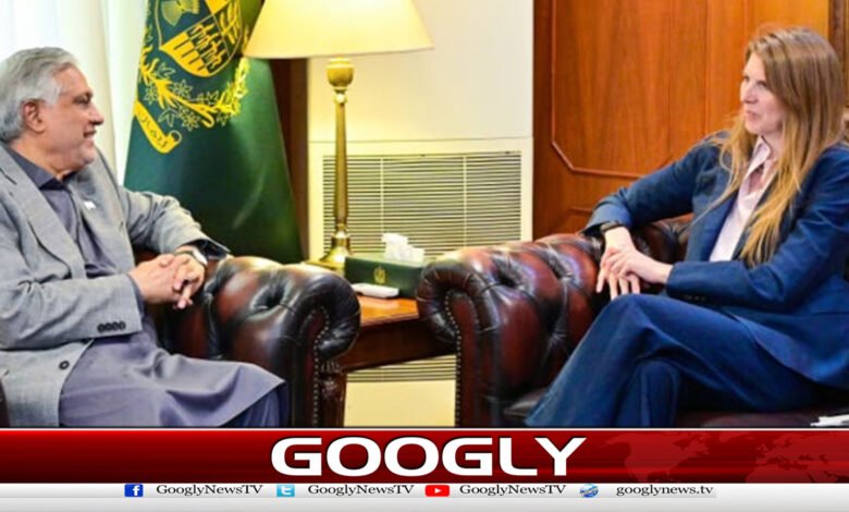 اسحاق ڈار سے برطانوی ہائی کمشنر کی ملاقات، دوطرفہ تعلقات کا خیر مقدم 1 British High Commissioner meets Ishaq Dar; bilateral relations welcomed.