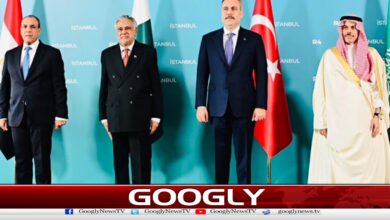 Ishaq Dar meets Turkish Foreign Minister; condemns Houthi attacks on Saudi Arabia