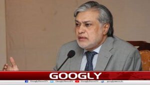 Ishaq Dar expresses concern over wheat crisis, directs to increase supply