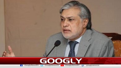 اسحاق ڈارکاگندم بحران پرتشویش کااظہار،سپلائی بڑھانےکی ہدایت 5 Ishaq Dar expresses concern over wheat crisis, directs to increase supply