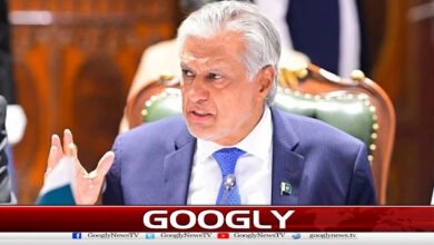 مکہ معاہدہ ،سعودی عرب کے دفاع کے پابند ہیں،اسحاق ڈار 5 Mecca Agreement: Saudi Arabia is committed to its defense, says Ishaq Dar