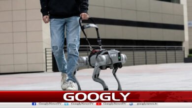 American company offers to make money by walking robot dogs