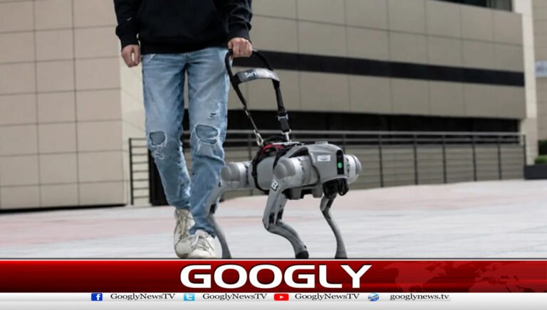 American company offers to make money by walking robot dogs