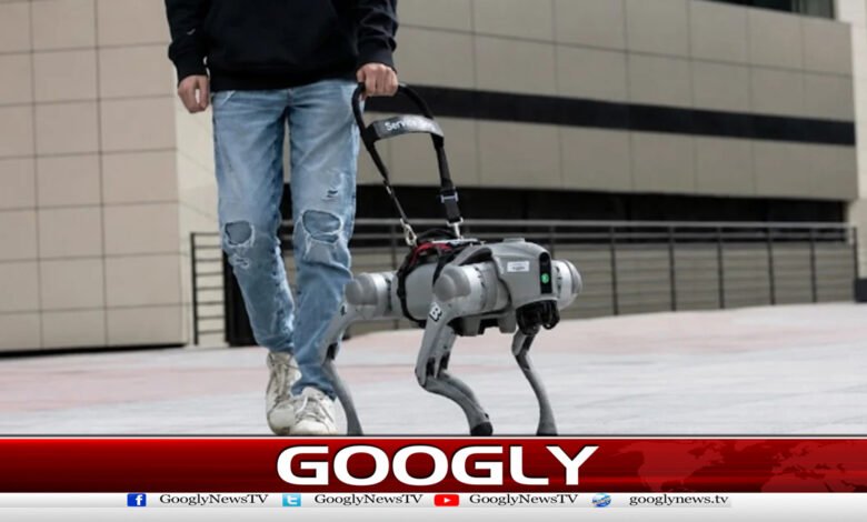 American company offers to make money by walking robot dogs