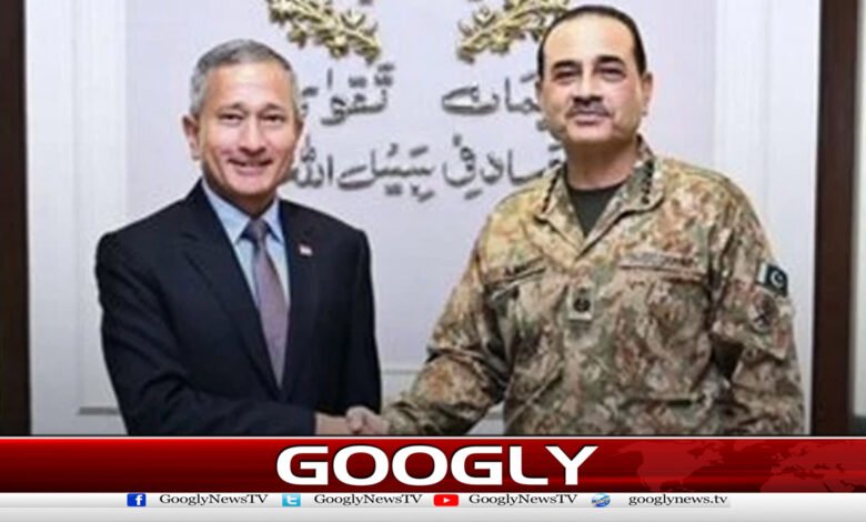 Singapore's Foreign Minister holds separate meetings with the Prime Minister and the Field Marshal.