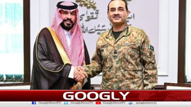 Meeting of Saudi Arabia's new ambassador with the Field Marshal