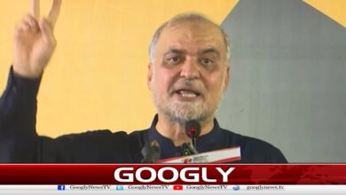 The Prime Minister has requested 10 days regarding the issue of the petroleum levy, says Hafiz Naeem-ur-Rehman.