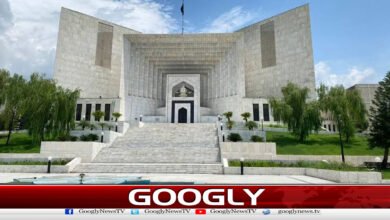 Sindh High Court extends constitutional bench's term for one year