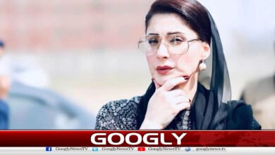 Governor's Rule in Khyber Pakhtunkhwa is the result of 13 years of incompetence: Maryam Nawaz.