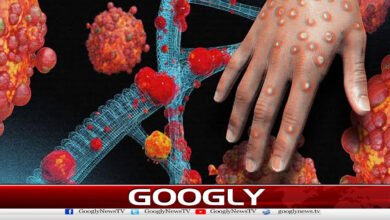 The number of 'monkeypox' cases in Khyber Pakhtunkhwa has reached 4.