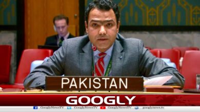 Pakistan has opposed the expansion of the veto power in the Security Council.