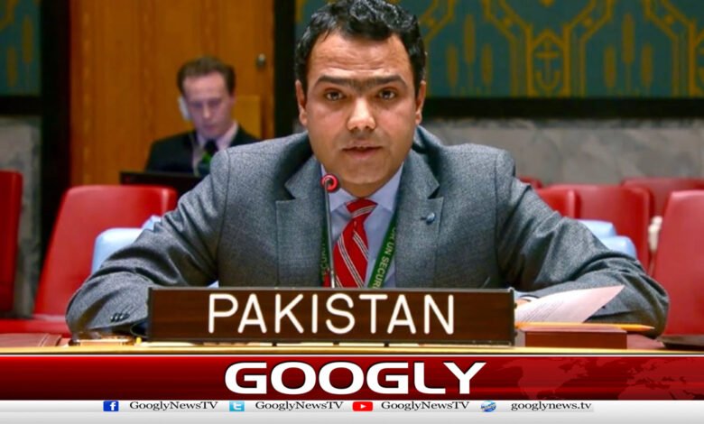 Pakistan has opposed the expansion of the veto power in the Security Council.