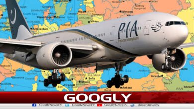 Adrian Hamilton-Manns named as new CEO of PIA