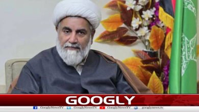 The Opposition Leader dismissed the government's talks as a sham.