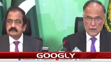Government and Jamaat-e-Islami committee formed for petroleum relief