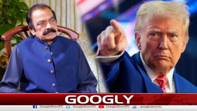 Rana Sanaullah has held Donald Trump responsible for inflation.
