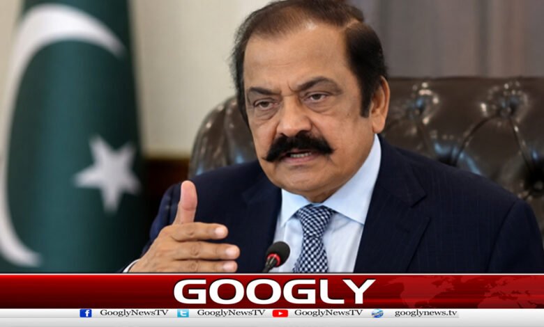 Rana Sanaullah has confirmed back-channel contacts with the PTI.