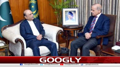 Prime Minister holds important meeting with the President regarding the Khyber Pakhtunkhwa issue.