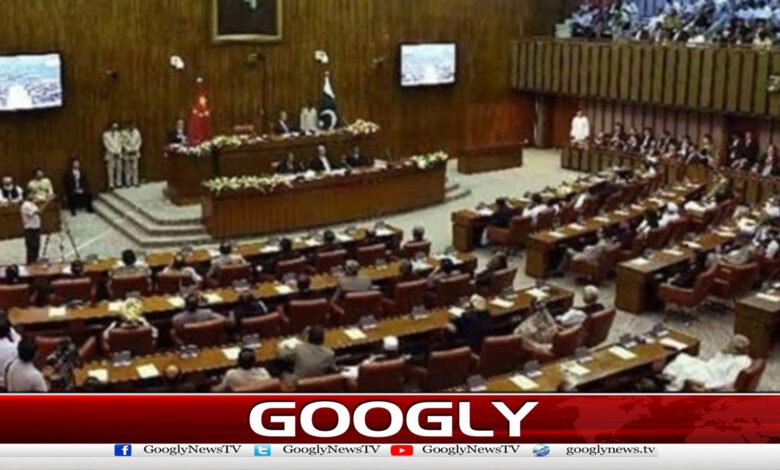 Senate: Passport Act Amendment Bill 2026 passed unanimously