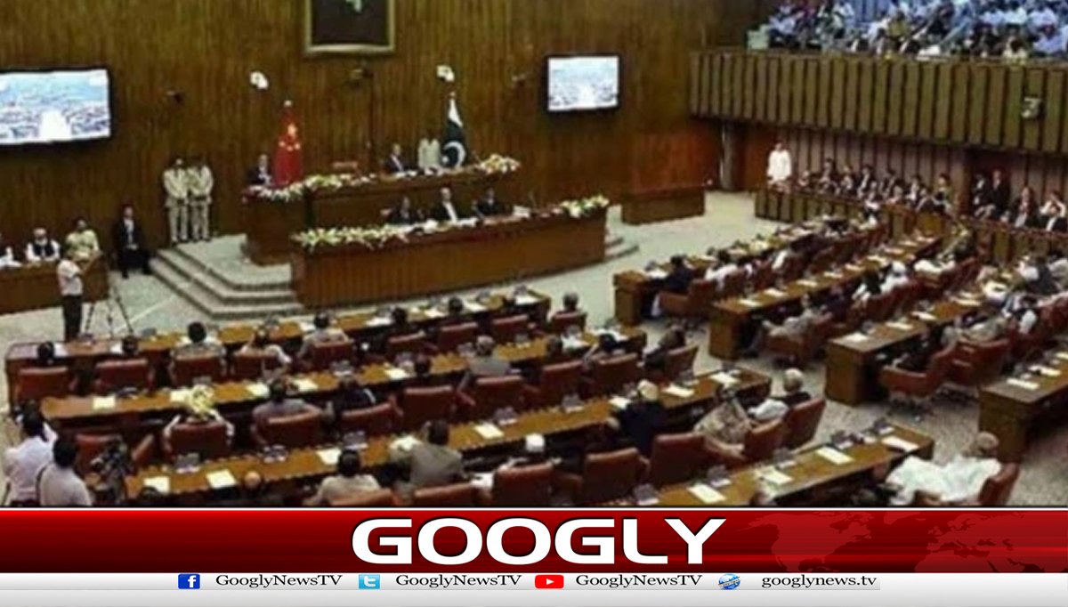 Senate: Passport Act Amendment Bill 2026 passed unanimously