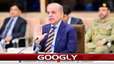 پی ٹی آئی والے آج تک ڈی چوک سے باہرنہیں نکلے،شہبازشریف 5 PTI members have not yet managed to move beyond D-Chowk: Shahbaz Sharif.