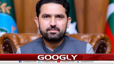 جمہوریت پر شب خون مارنے کی اجازت نہیں دیں گے،سہیل آفریدی