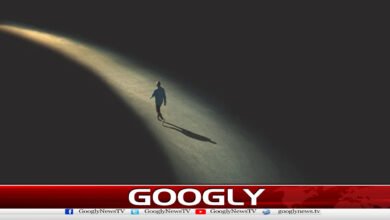 تنہائی انسانی صحت کیلئے نقصان دہ قرار 5 Loneliness deemed harmful to human health