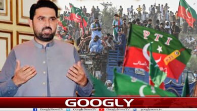 website Googly 14