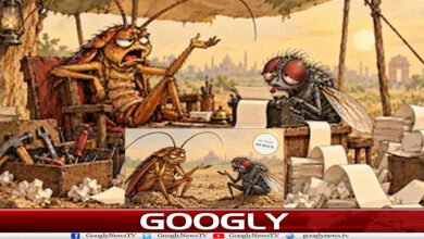 website Googly 146