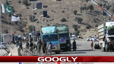 پاک افغان تجارت کی بندش نے معیشت کا کباڑہ کیسے نکالا؟ 5 website Googly 161