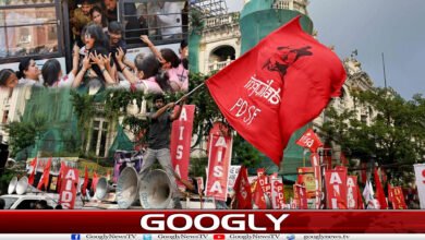 کاکروچ تحریک نے مودی سرکار کی چیخیں کیسے نکلوائیں؟ 5 website Googly 164