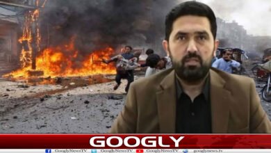 website Googly 169